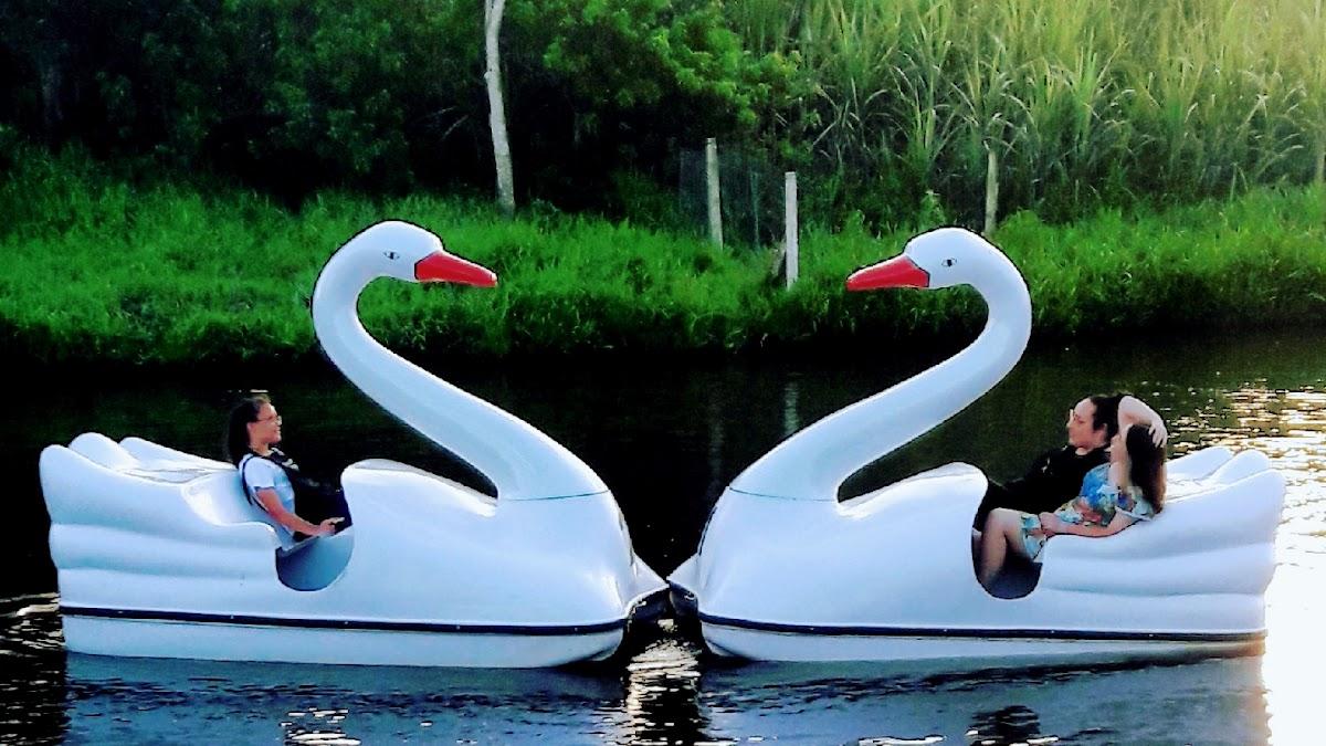 Caldo de Cana Prensa e Pedalinho do Vavá