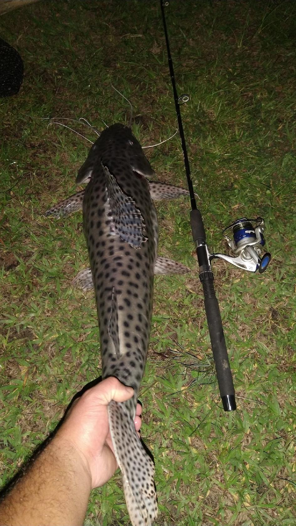 Pesque Pague Jacarandà