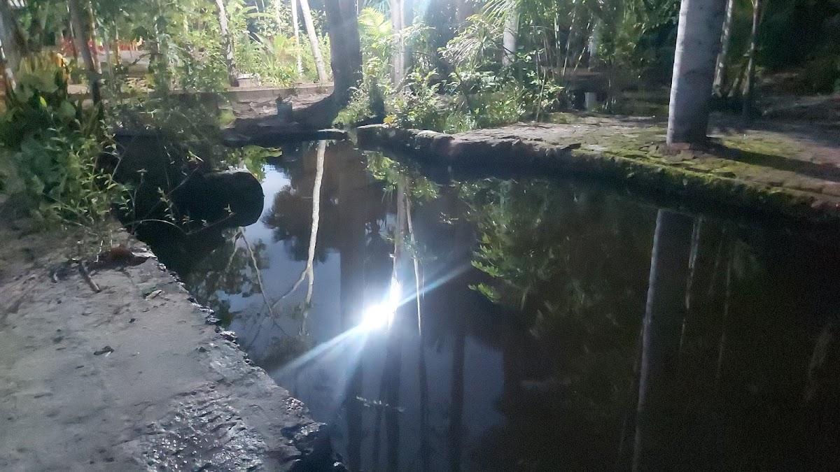 Sítio Recreio Barbatimão