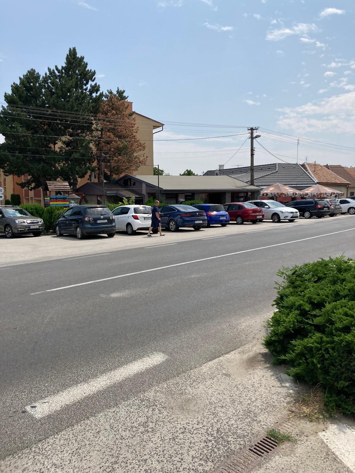 Restauracia Jana Schwarzova