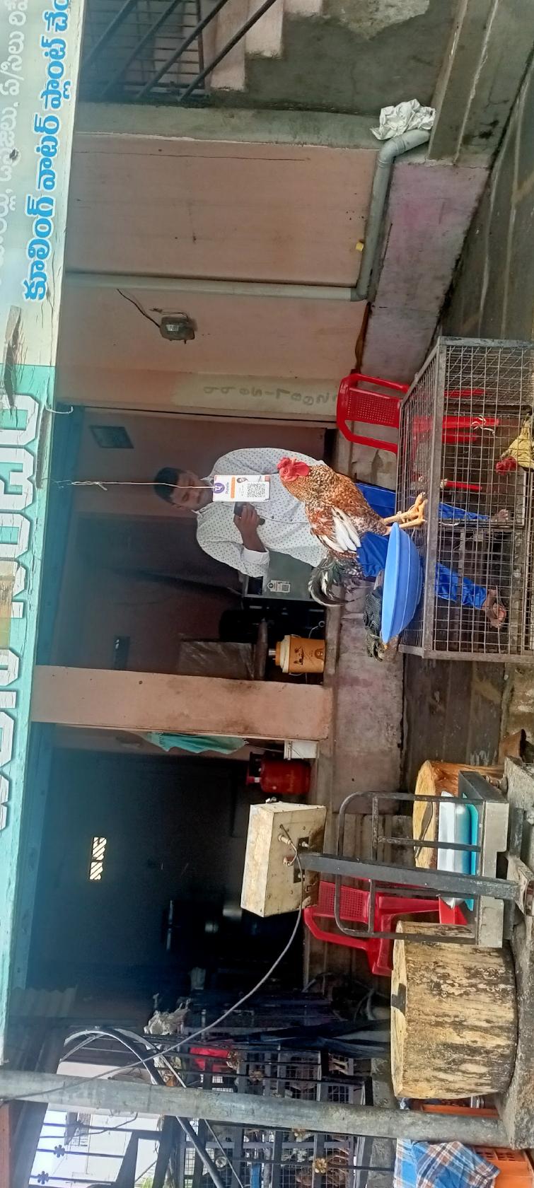 Gouse Chicken Centre