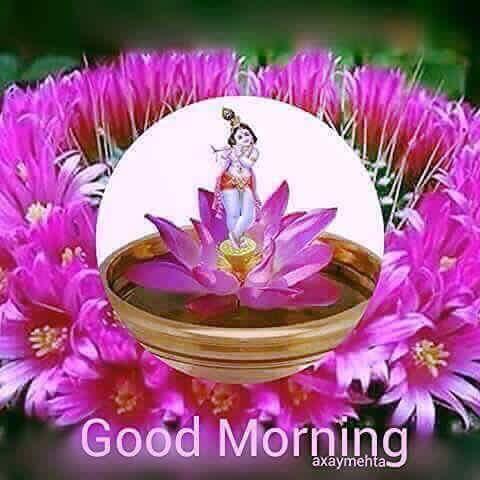 Sharad Mess And Tiffin Center