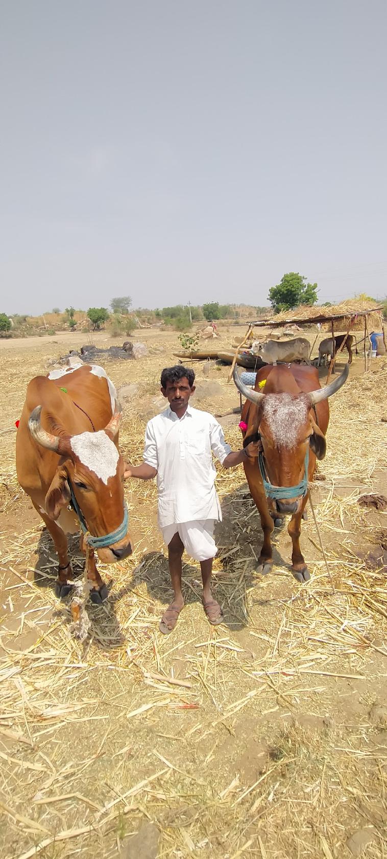 Nakshatra Family Restaurant