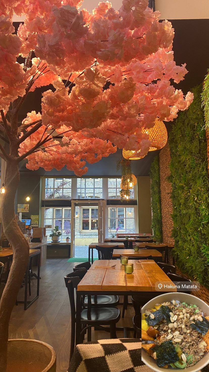 Hakuna Matata Poké Bowl & Bubble Tea