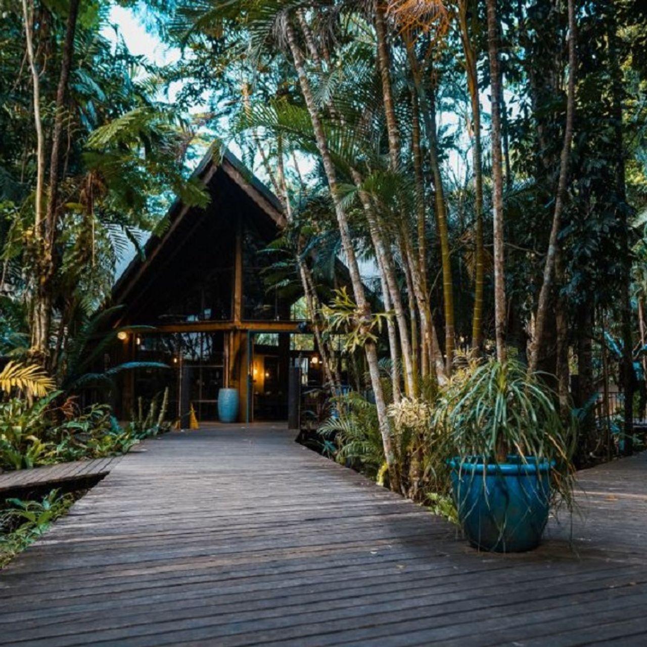 The Daintree Bar