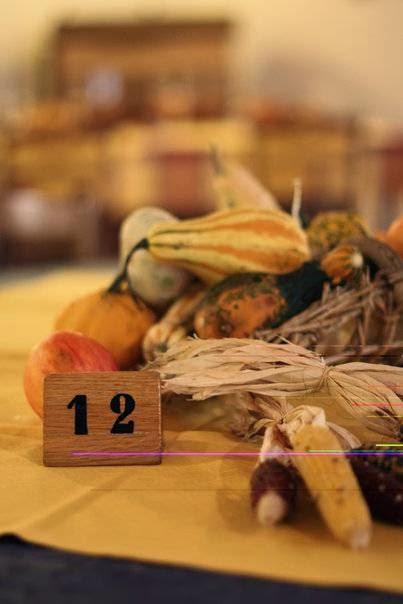 Agriturismo Il Mulino di Lisa Brunetta