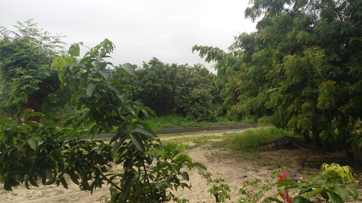 Churrascaria Quintas do Boi