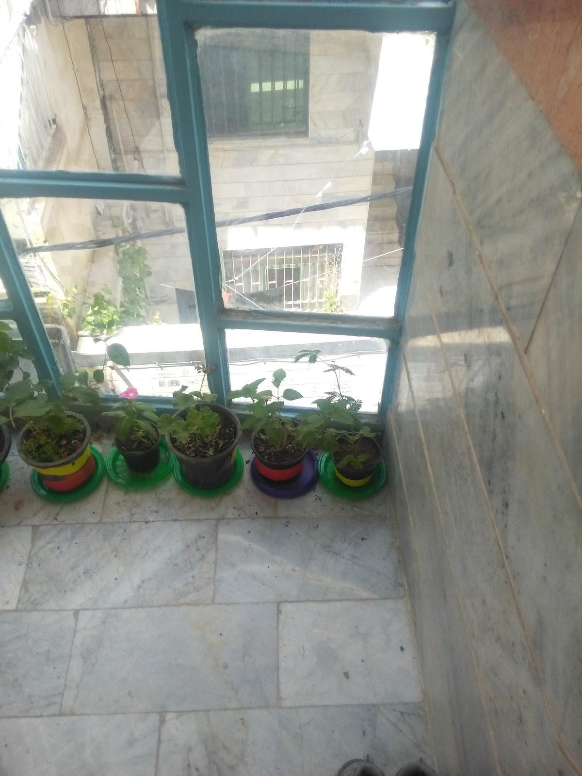 چلوکبابی سلطانی