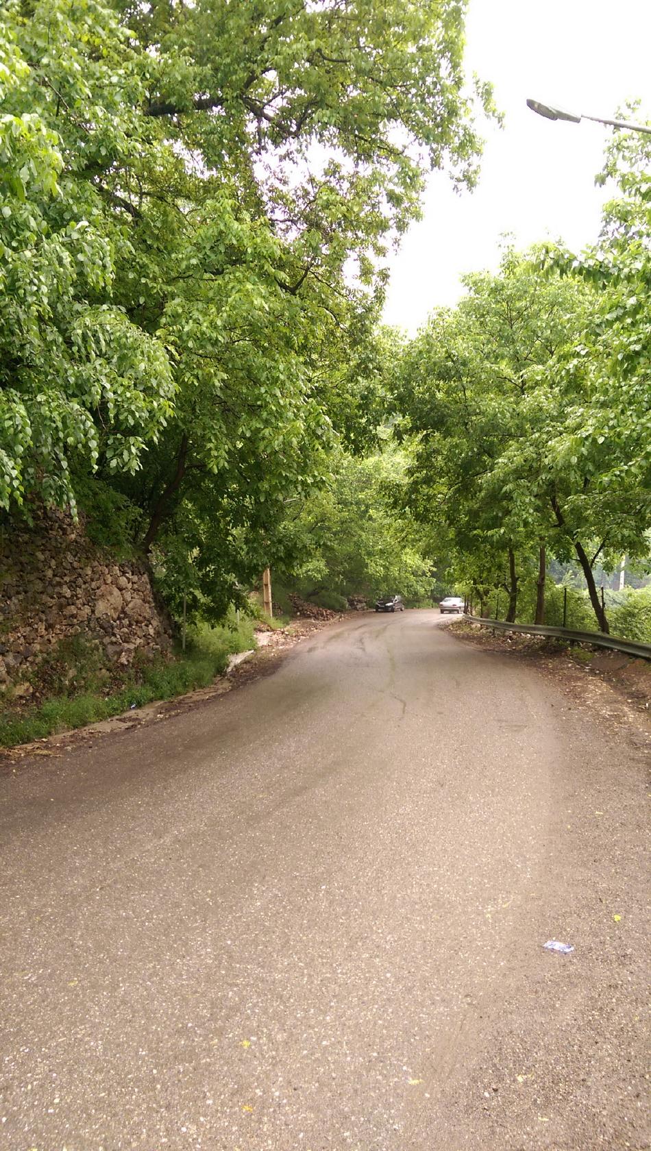 سالن غذا خوری کدبانو