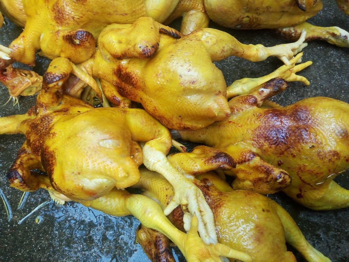 SAMVARSHA CHICKEN CENTER