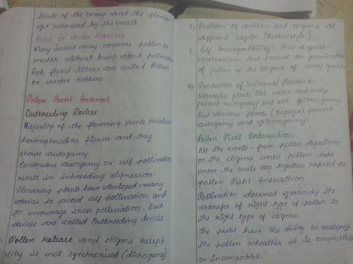 Milk Society,East Pandikkad