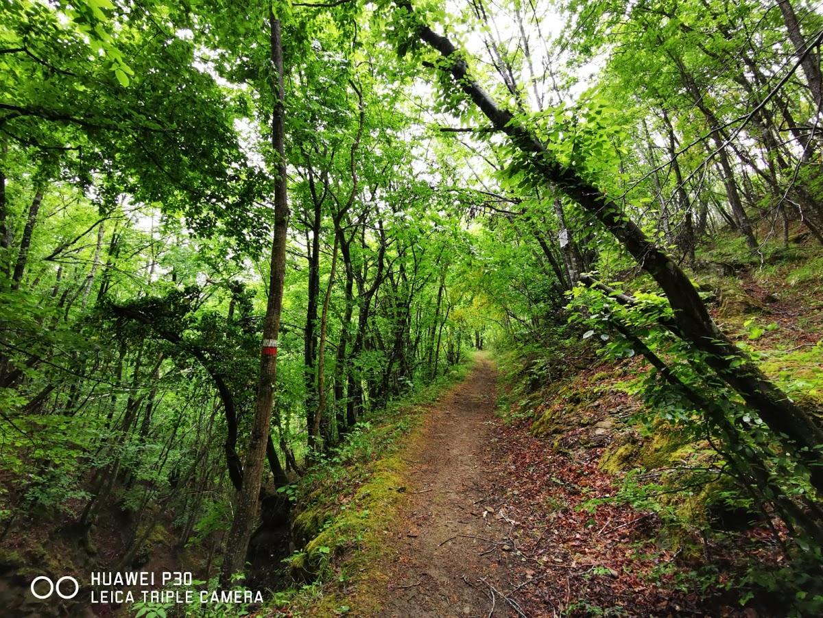 Agriturismo Cà di N