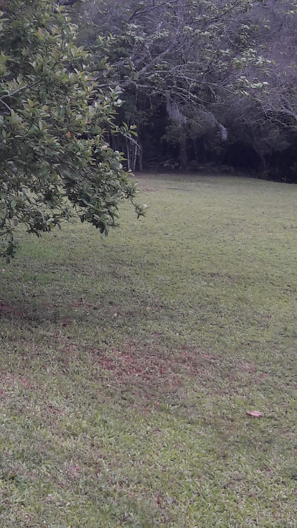 Sitio Recanto das Palmeiras