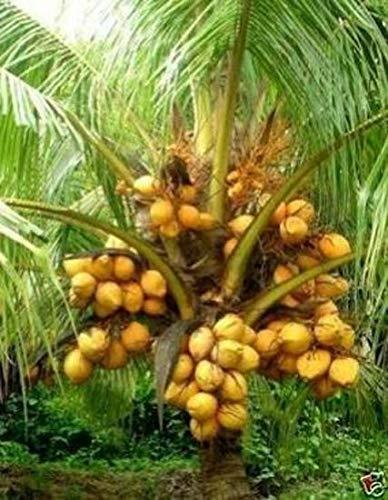 Sri Ganesh Tiffin Centre