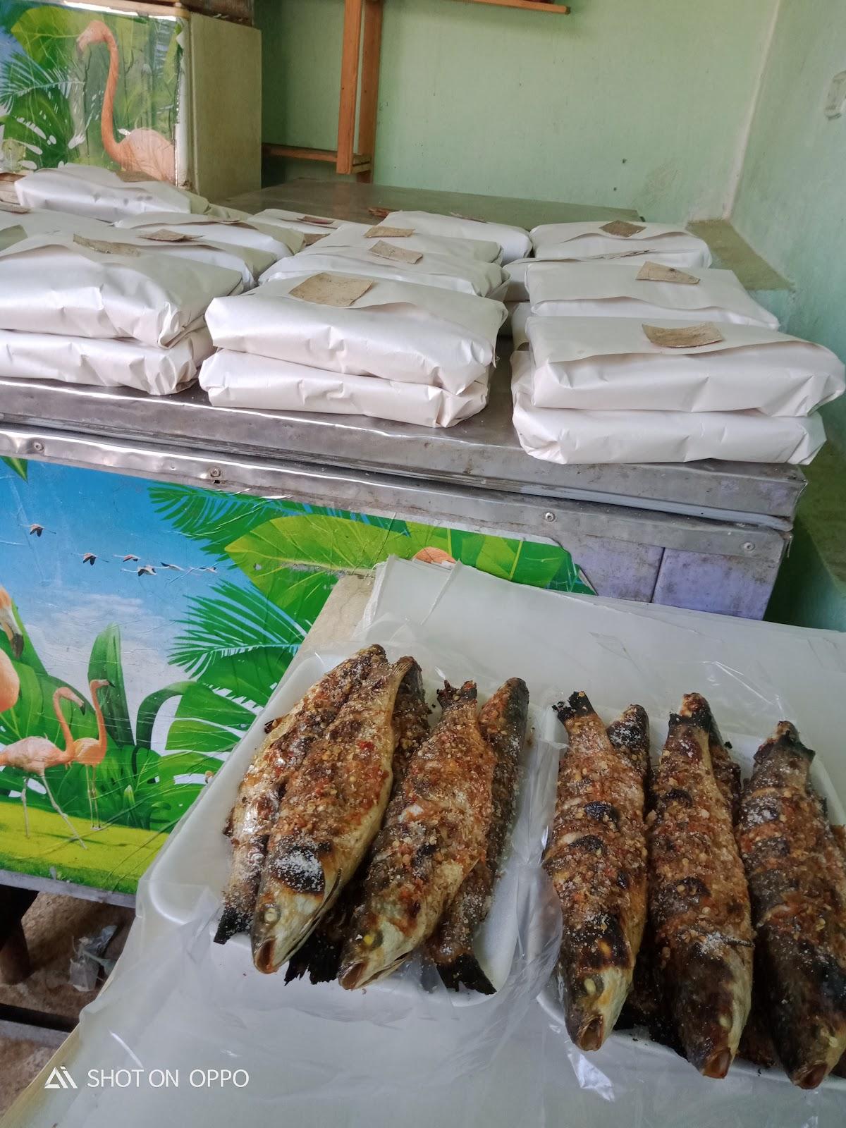 اسماك عالم البحار