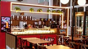 Damay Fiore Piçarras