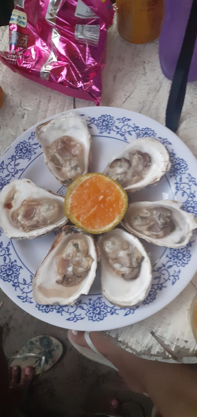 Berçario das ostras