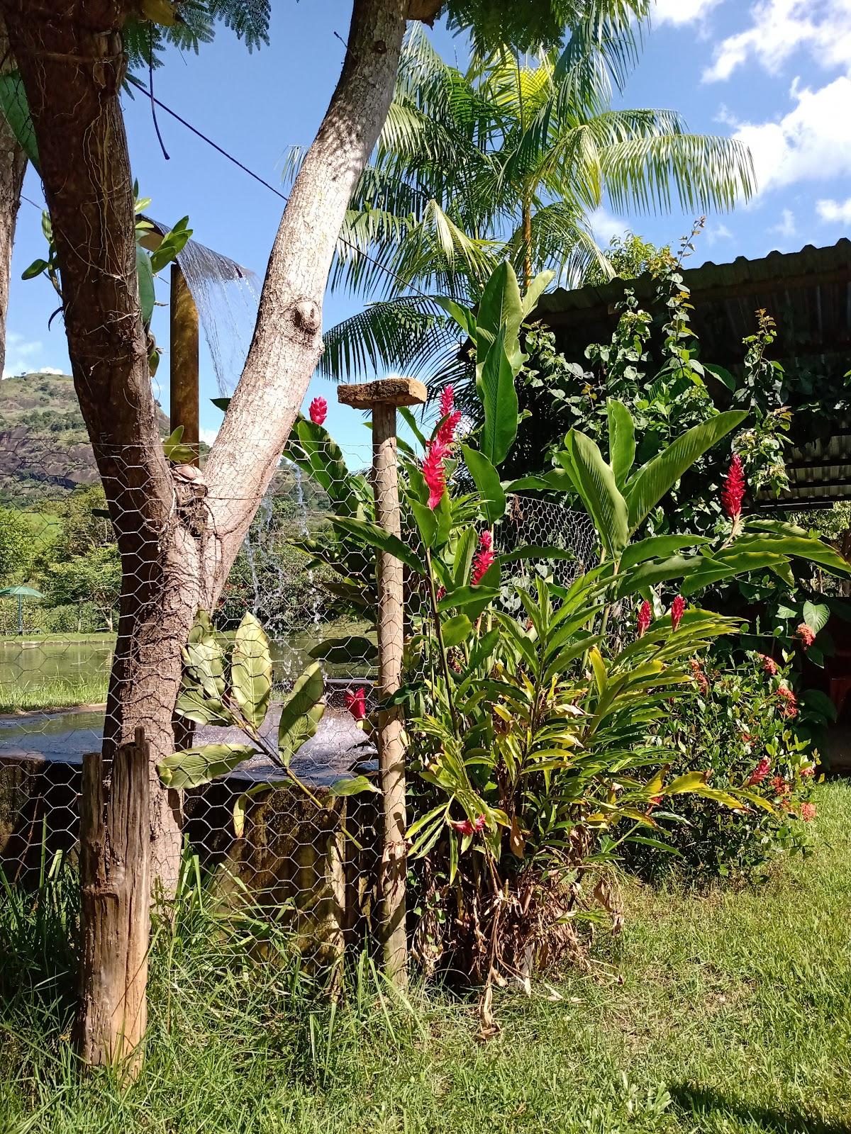 Restaurante Pesque e Pague Tabuinha
