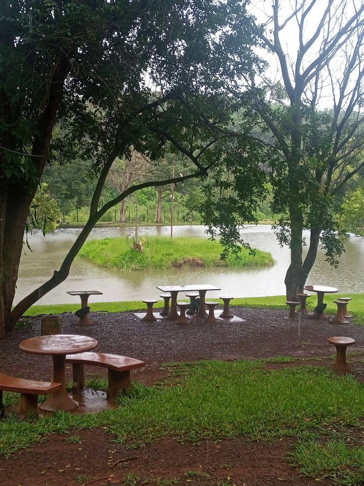 Pesqueiro Fogão de Lenha do Tatinha