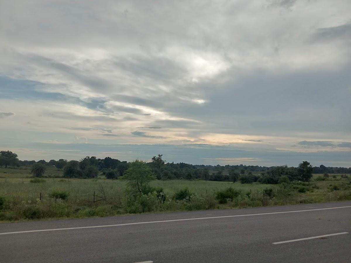 ओम ढाबा सोनोर बाईपास