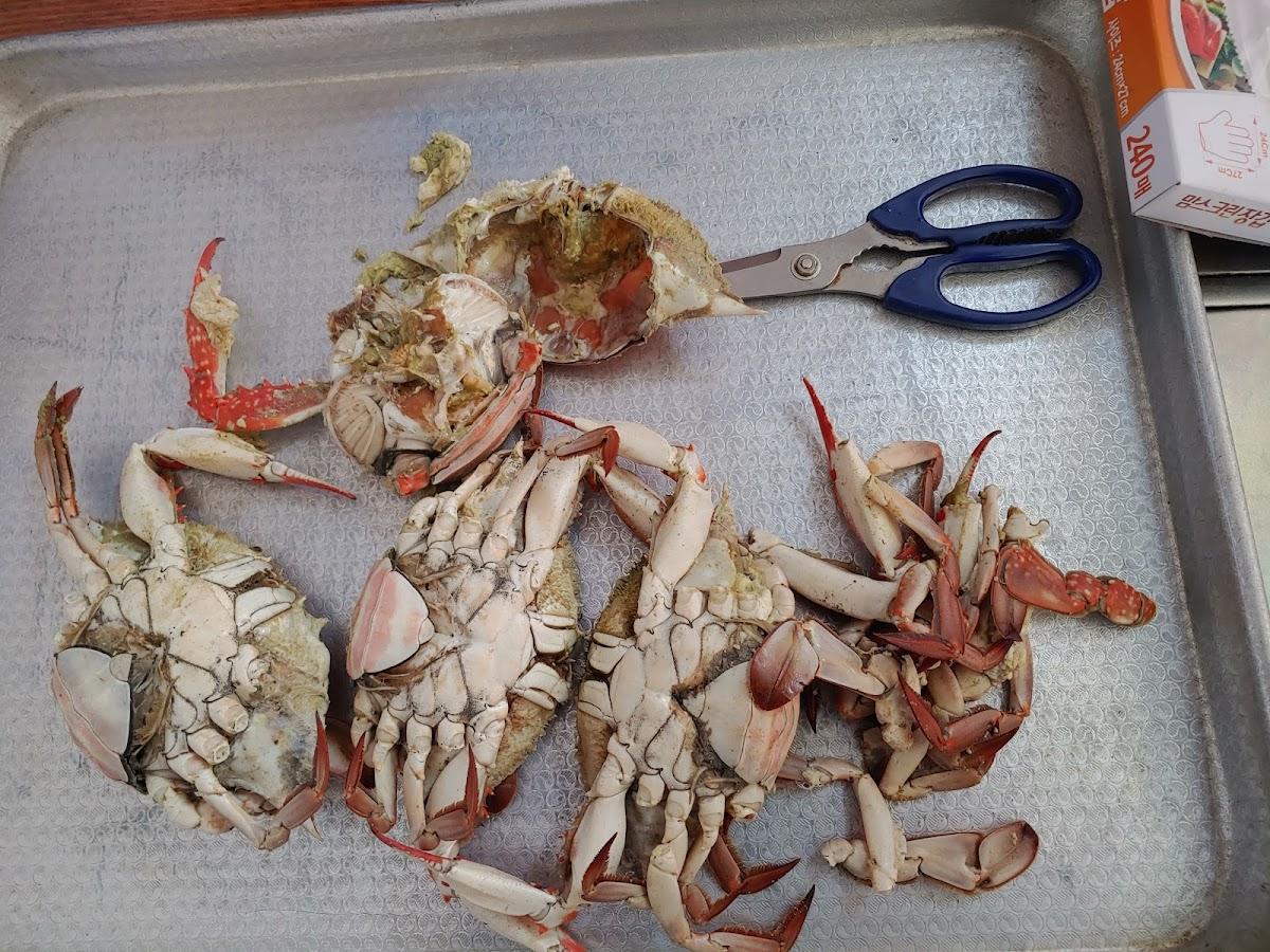 임실피자앤치킨