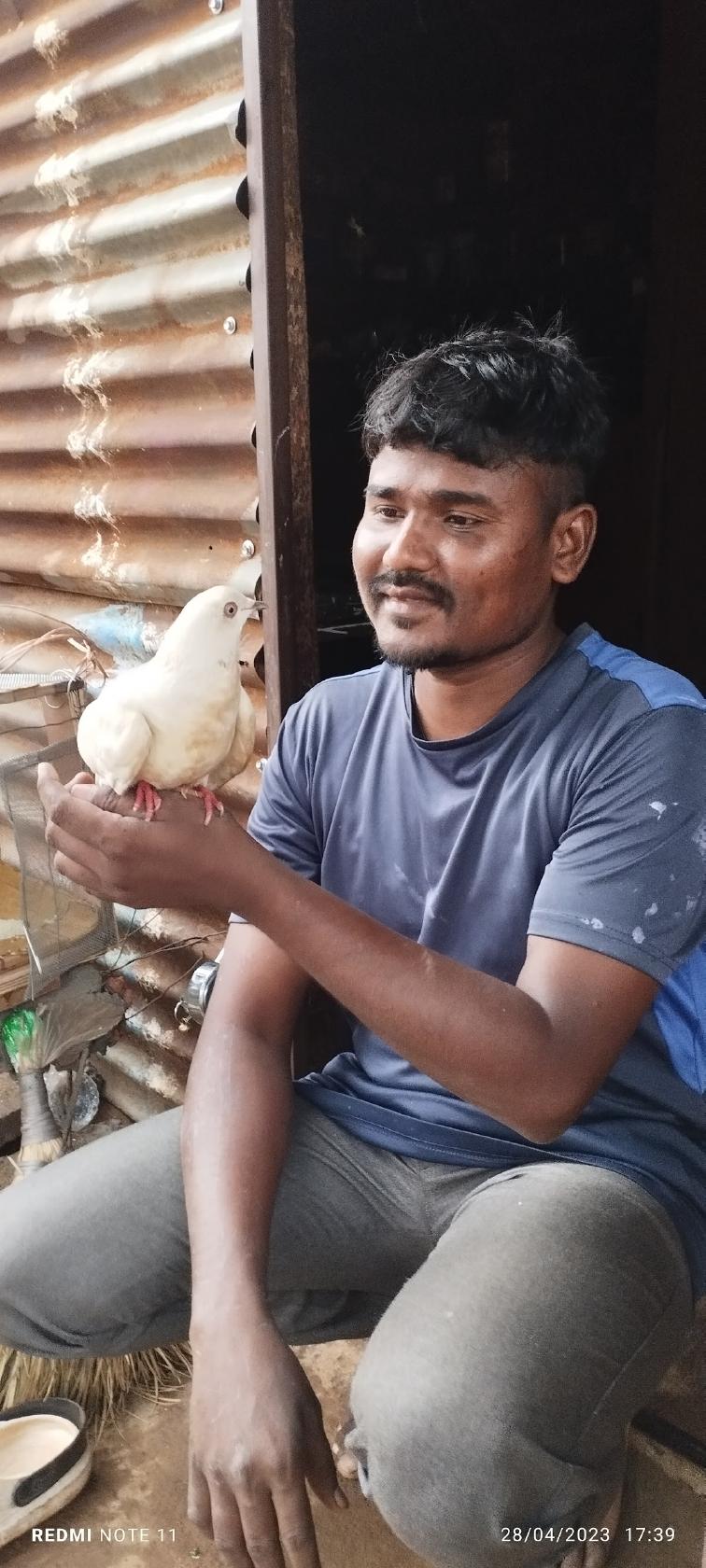 K.G.N CHICKEN & MUTTON CENTRE