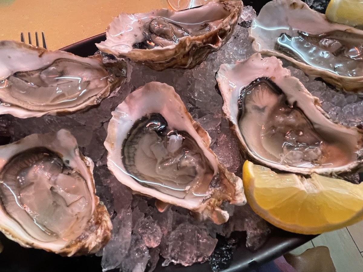 Casa Del Pesce Di Ramacciotti Patrizio