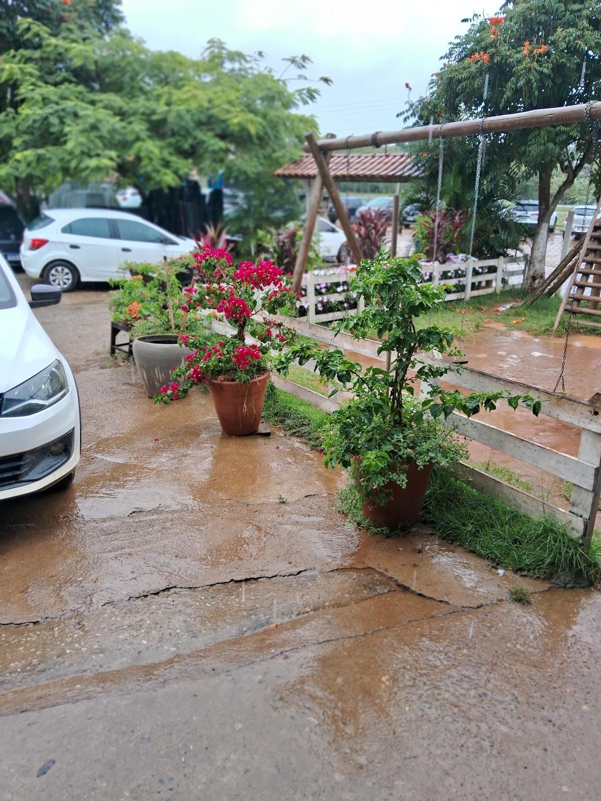 Pesqueiro Pé Da Serra