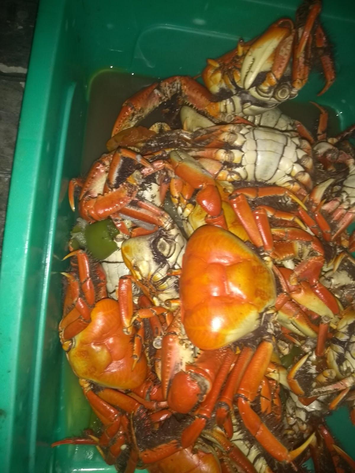 Bar da NOCA do Guadalupe