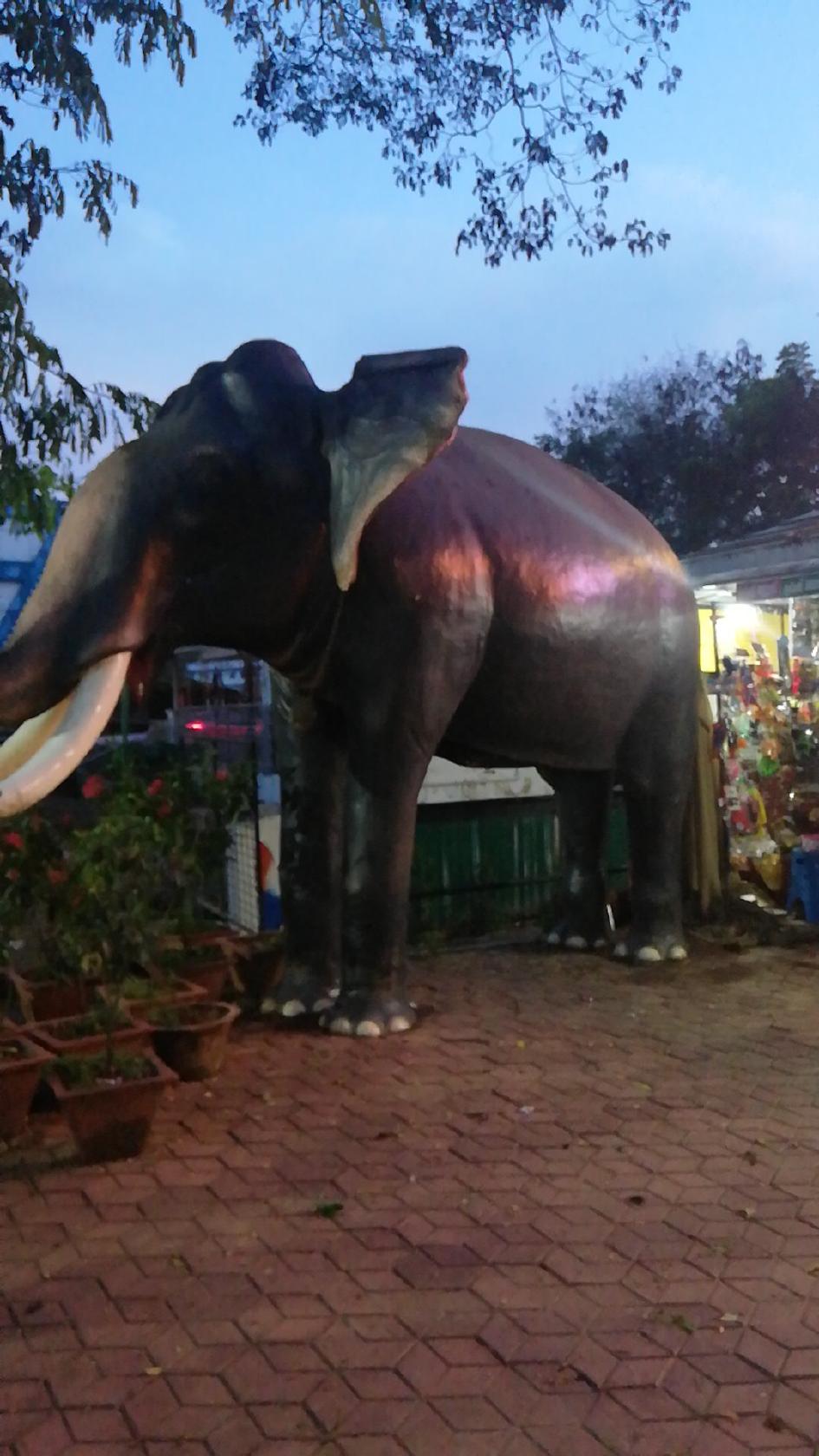 Candle Cafe, Thodupuzha