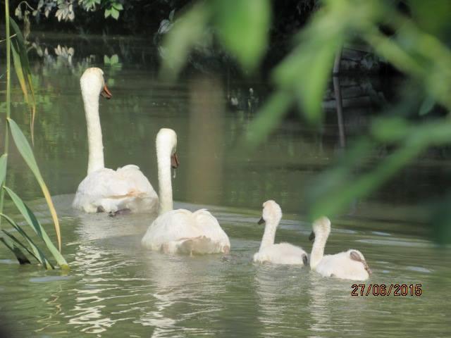 Bar Trattoria Alloggio Al Cacciatore