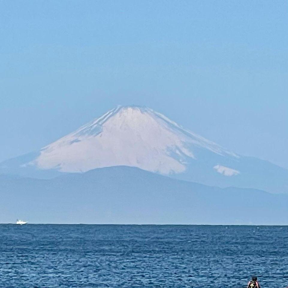 獲ったどー！三浦半島最南端、城ケ島。今朝獲れ生しらすと鮪、地魚の専門店！磯料理　魚のかねあ
