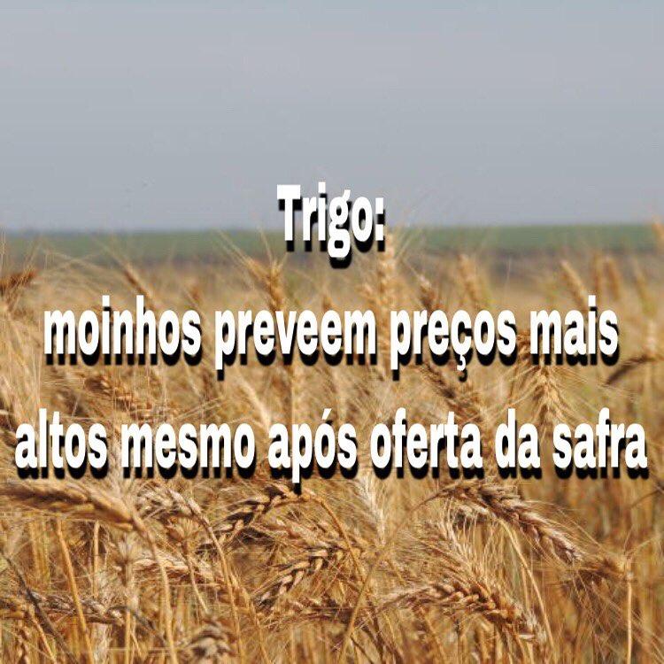 PANIFICADORA NOVO SABOR