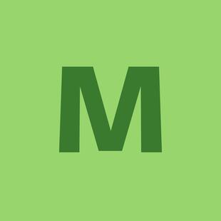 Monsieur Metin Yaldirak