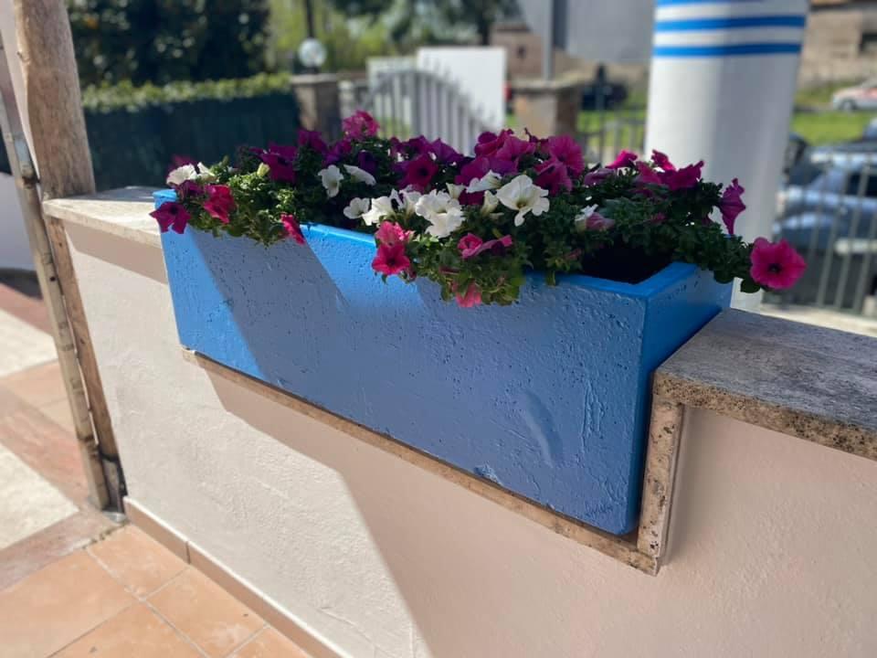 Lo Scorfano Allegro Roma