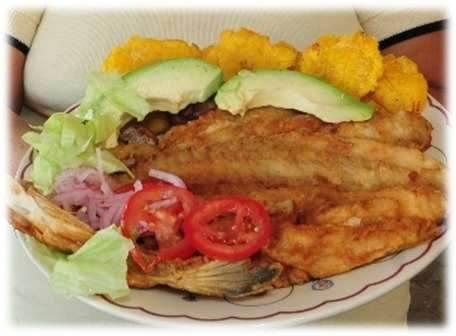 Las Comidas De Jessenia - tipicas Ecuatorianas