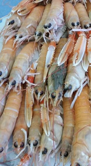 Verse-vismarkt Lauwersoog: 'De Groene Vis'