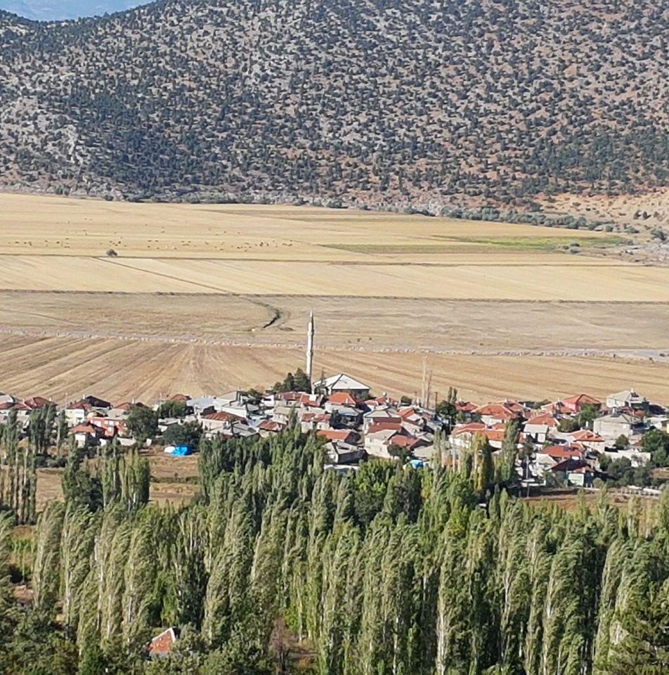 Isa Uyanik