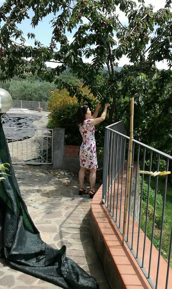 Agriturismo La Carraia