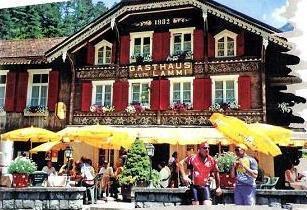 Restaurant Lammi