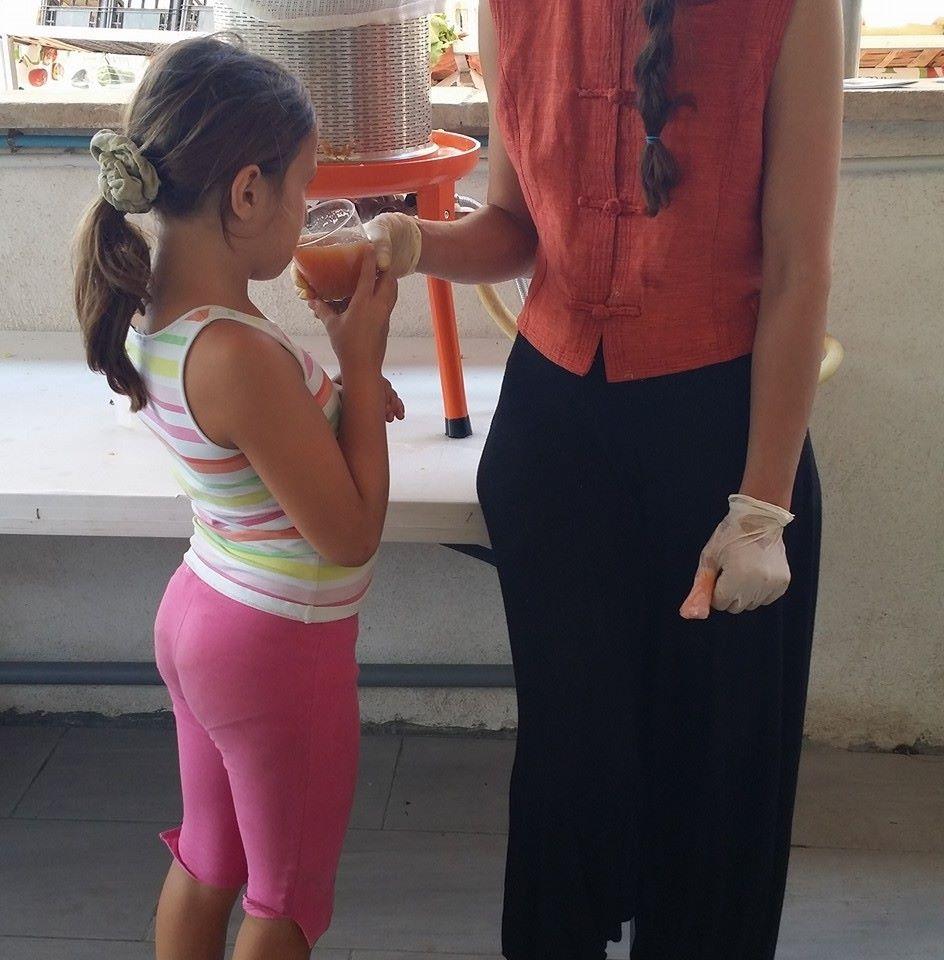 Les chopes vertes de Panacea