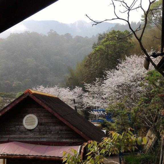 高山青養鱒場