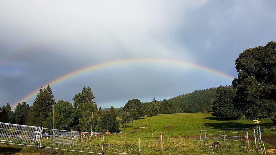 La Combe à la Biche