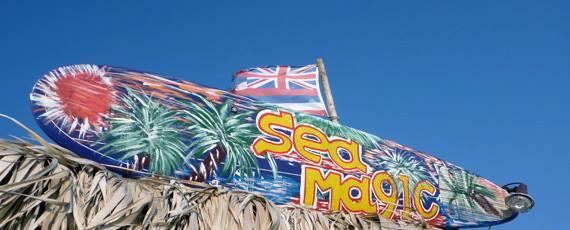 Sea Magic