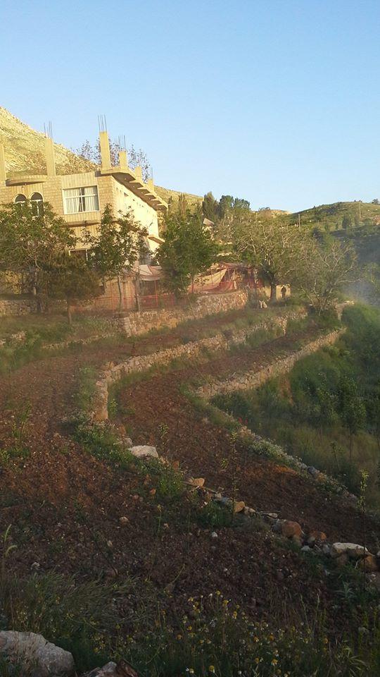 Nourelamar_sannine