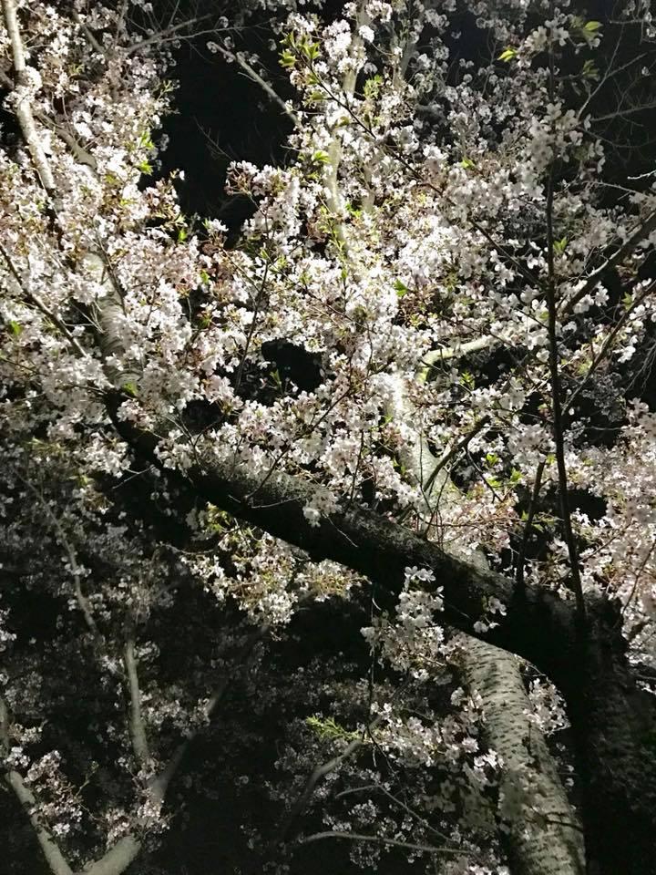 ワイン飲みましょ！おぎバル