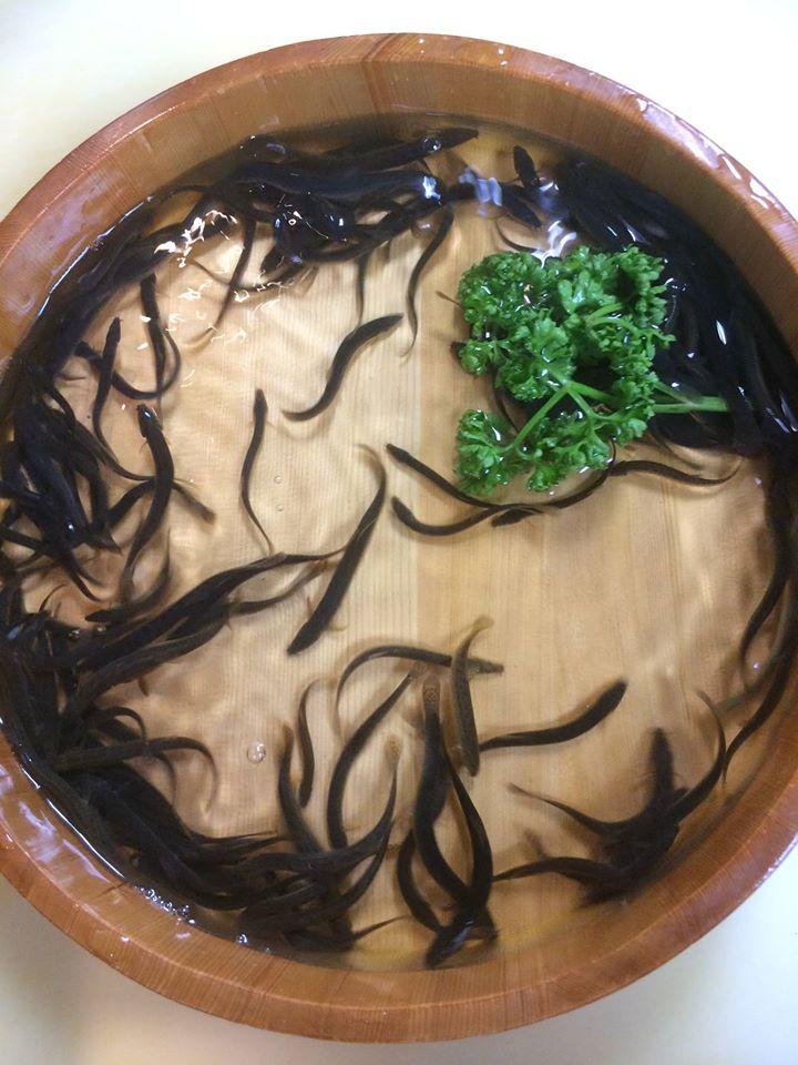 和食処ふみ