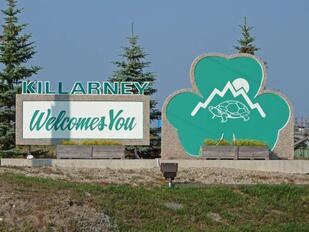 Killarney Shamrock Auctions