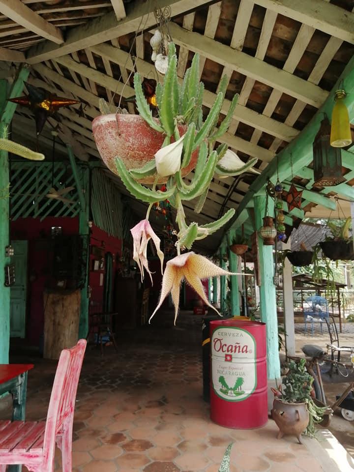 Bar y Restaurante El Xolotl