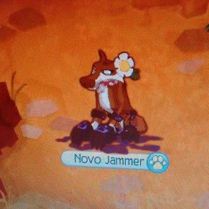 TURMA Do Animal JAM